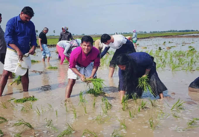 పొలం గట్టుపై కలెక్టర్ దంపతుల భోజనం.. కూలీలతో కలిసి సింపుల్‌గా