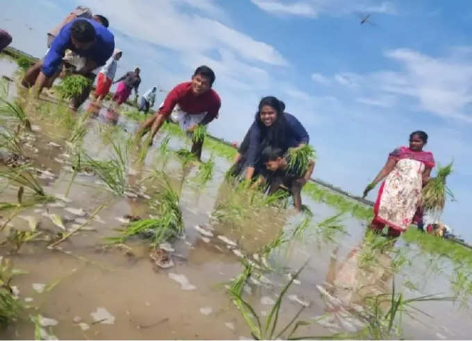 పొలం గట్టుపై కలెక్టర్ దంపతుల భోజనం.. కూలీలతో కలిసి సింపుల్‌గా