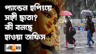 প্য়ান্ডেল হপিংয়ে সঙ্গী ছাতা? কী বলছে হাওয়া অফিস