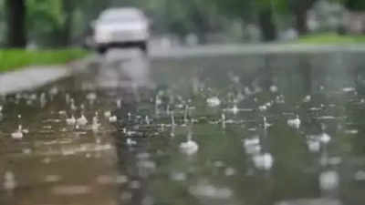 Karnataka Rains: 3 ದಿನ ರಾಜ್ಯಾದ್ಯಂತ ಸಾಧಾರಣ ಮಳೆ