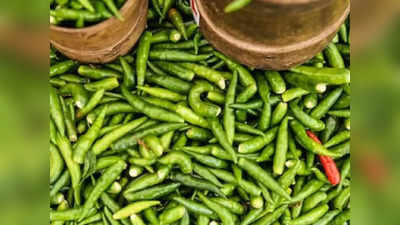 Market Price Today: বাজারে লঙ্কার গায়ে দামের ঝাঁঝ! কেজিতে দর বাড়ল 40 টাকা