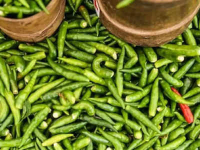 Market Price Today: বাজারে লঙ্কার গায়ে দামের ঝাঁঝ! কেজিতে দর বাড়ল 40 টাকা