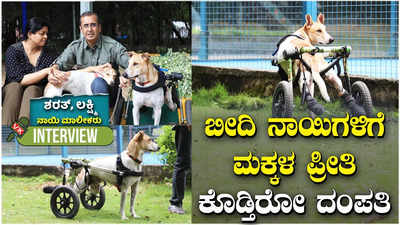 Street Dog: ಎರಡು ಕಾಲುಗಳಿಲ್ಲದ ಬೀದಿನಾಯಿಗೆ ತಾಯಿ ಪ್ರೀತಿ ನೀಡುತ್ತಿರುವ ಬೆಂಗಳೂರಿನ ದಂಪತಿ