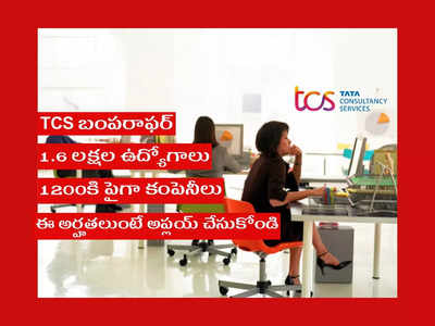 TCS NQT 2023: నిరుద్యోగులకు TCS బంపరాఫర్‌.. 1.6 లక్షల ఉద్యోగాలు.. 1200కి పైగా కంపెనీలు.. ఈ అర్హతలుంటే అప్లయ్‌ చేసుకోండి