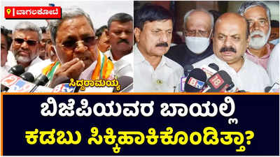 Siddaramaiah: ನಳಿನ್‌ ಕುಮಾರ್‌ ಕಟೀಲ್‌ ಒಬ್ಬ ವಿದೂಷಕ, ಮೆಚ್ಯೂರಿಟಿ ಇಲ್ಲ: ಸಿದ್ದರಾಮಯ್ಯ ವ್ಯಂಗ್ಯ