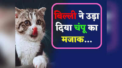 Funny Chutkula: चंपू का मजाक उड़ाने में बिल्ली ने नहीं छोड़ी कोई कसर... पढ़ें ये मजेदार जोक्स