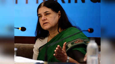 Maneka Gandhi: राजस्‍थान में खुले में छोड़ी जा रहीं लंपीग्रस्‍त गायों से फैल रहा रोग, मेनका गांधी का आरोप