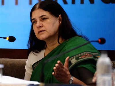 Maneka Gandhi: राजस्‍थान में खुले में छोड़ी जा रहीं लंपीग्रस्‍त गायों से फैल रहा रोग, मेनका गांधी का आरोप