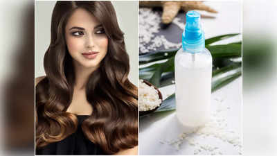 Rice Water For Hair: রুক্ষ চুল রেশমের মতো নরম হবে রাতারাতি! রান্নাঘরের এই জিনিস চুলে লাগান আর ম্যাজিক দেখুন