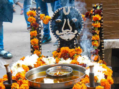 Shani Sade Sati: ২০২৩-এ শনির ধাইয়া ও সাড়ে সাতি থেকে মুক্তি পাবেন এই ৩ রাশির জাতকরা