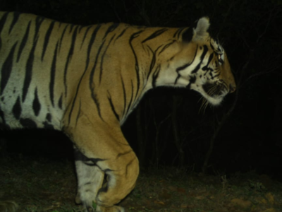 सह्याद्री खोऱ्यातून आली संपूर्ण महाराष्ट्रासाठी दिलासा देणारी बातमी; फोटो पाहून तुम्हाला होईल आनंद