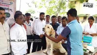 உலக வெறிநோய் தினத்தை முன்னிட்டு நாய்களுக்கான இலவச தடுப்பூசி முகாம்