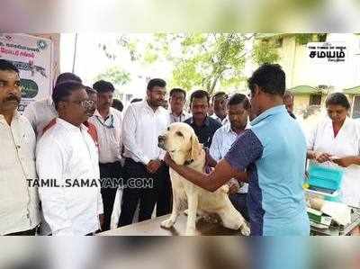 உலக வெறிநோய் தினத்தை முன்னிட்டு நாய்களுக்கான இலவச தடுப்பூசி முகாம்