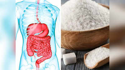 Quitting Sugar : वरचेवर गोड खाताय तर आताच थांबा, शरीर आतून निकामी होतंय, साखरेला नाही म्हणण्याचे 6 फायदे