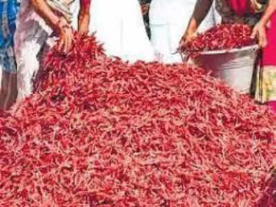 Chapata Chilli: వరంగల్ చపాట మిర్చికి భౌగోళిక గుర్తింపు !