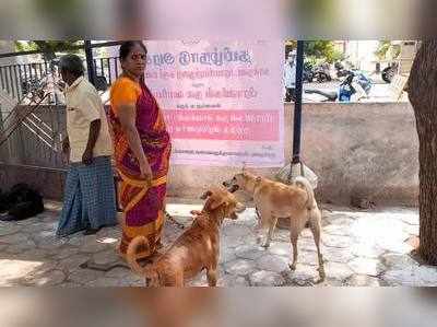 உலக வெறி நோய் தினம் :- செல்லப் பிராணிகளுக்கான வெறி நோய் தடுப்பூசி முகாம்!