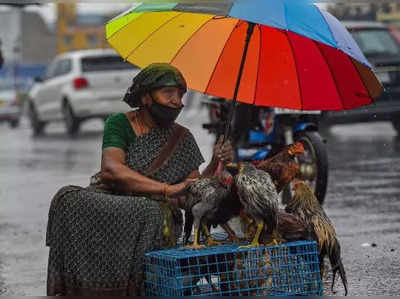 அடித்து வெளுக்கும் கனமழை: 15 மாவட்டங்களுக்கு எச்சரிக்கை!