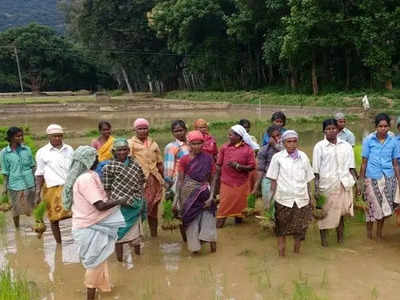 விவசாயிகள் உடனே இதைச் செய்ய வேண்டும்.. மாவட்ட ஆட்சியர் உத்தரவு!