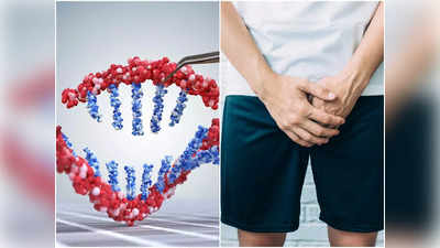 Male Infertility: ৮ জিনের কারসাজিতেই ভারতীয় পুরুষের মধ্যে বন্ধ্যাত্ব বাড়ছে, দাবি করা হল গবেষণায়