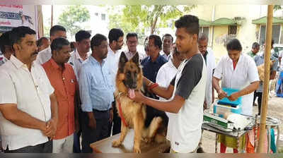 சர்வதேச ரேபீஸ் தினம்: கலெக்டர் தொடங்கி வைத்த இலவச தடுப்பூசி முகாம்; நாய்களுடன் படையெடுத்த உரிமையாளர்கள்!