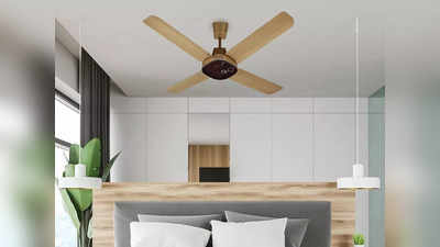 कम कीमत में मिलने वाले ये हाई क्‍वालिटी Ceiling Fans हैं शानदार, मिलेगी तेज हवा, धड़ल्‍ले से हो रही बिक्री