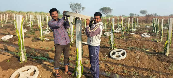 ​​सांगोल्याला माहिती घेण्यासाठी गेले