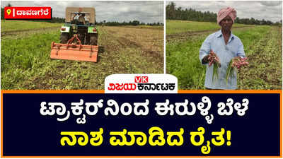 Onion Crop: ಹವಾಮಾನ ವೈಪರೀತ್ಯದಿಂದ ಈರುಳ್ಳಿ ಬೆಳೆಗೆ ರೋಗ; ಟ್ರಾಕ್ಟರ್‌ನಿಂದ ಈರುಳ್ಳಿ ಬೆಳೆ ನಾಶ ಮಾಡಿದ ನ್ಯಾಮತಿಯ ಸುರಹೊನ್ನೆ ರೈತ!