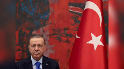 जर्मन नेता ने तुर्की के राष्‍ट्रपति रेसेप तैयप एर्दोगन को बताया सीवर का चूहा, मचा बवाल