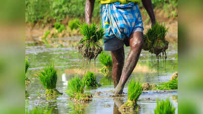 விவசாயிகளுக்கு ஆயிரக்கணக்கில் பரிசு.. தமிழக அரசு அறிவிப்பு!