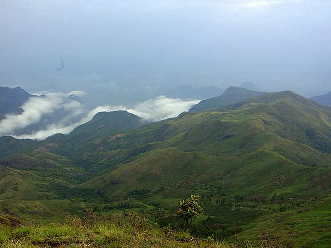 ​​​കൊടൈക്കനാല്‍, തമിഴ്‌നാട്​