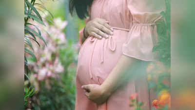 Pregnancy Care: પ્રેગ્નન્સી દરમિયાન આ બાબતને નજરઅંદાજ કરી તો ક્રોનિક બીમારીઓનું થશે જોખમ, જાણો આયુર્વેદની સલાહ
