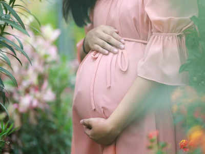 Pregnancy Care: પ્રેગ્નન્સી દરમિયાન આ બાબતને નજરઅંદાજ કરી તો ક્રોનિક બીમારીઓનું થશે જોખમ, જાણો આયુર્વેદની સલાહ