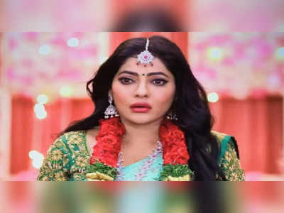 Baakiyalakshmi Serial: கோபி முன் எரிமலையாய் வெடித்த பாக்யா: ஆடிப்போன ராதிகா.!