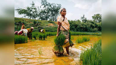 தமிழ்நாட்டு விவசாயிகள் இதைச் செய்ய வேண்டும்.. அரசு முக்கிய அறிவிப்பு!