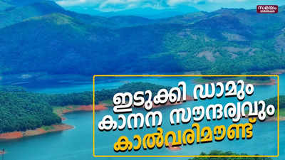 ഇടുക്കി ഡാമും കാനന സൗന്ദര്യവും; സഞ്ചാരികളുടെ മനം കവർന്ന് കാൽവരിമൗണ്ട്