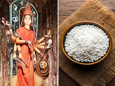 Superfood For Women: ষষ্ঠীর উপোসের পরই সাবু ভিজিয়ে খান? শরীরে ঠিক কতটা উপকার করে করিনার পুষ্টিবিদের থেকে জেনে নিন