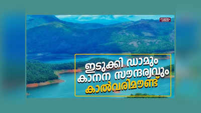 മഞ്ഞിൽ പുതഞ്ഞ മലനിരകൾ, കണ്ണകലെ ഇടുക്കി ഡാമിന്റെ കാനന സൗന്ദര്യം, സഞ്ചാരികളുടെ മനം കവർന്ന് കാൽവരിമൗണ്ട്, വീഡിയോ കാണാം