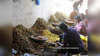 ಭೂತಾನ್‌ ಅಡಕೆಗೆ ಕೇಂದ್ರ ಮಣೆ, 17,000 ಟನ್‌ ಆಮದಿಗೆ ಅವಕಾಶ, ದೇಶೀಯ ಬೆಳೆಗಾರರಿಗೆ ಸಂಕಷ್ಟ