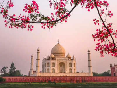 Taj Mahal: ഷാജഹാൻ ഭാര്യ മുംതാസിന് വേണ്ടി പണിതതോ താജ് മഹൽ? തെളിവില്ല... യാഥാർ‌ത്ഥ്യം പുറത്ത് വരണം, പ്രാഥമിക വിവരമില്ലെന്ന് എൻസിഇആർടിയും