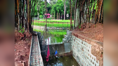 Cubbon park: ಕಬ್ಬನ್‌ ಉದ್ಯಾನ ಅಭಿವೃದ್ಧಿ ತಿಂಗಳಾಂತ್ಯಕ್ಕೆ ಪೂರ್ಣ