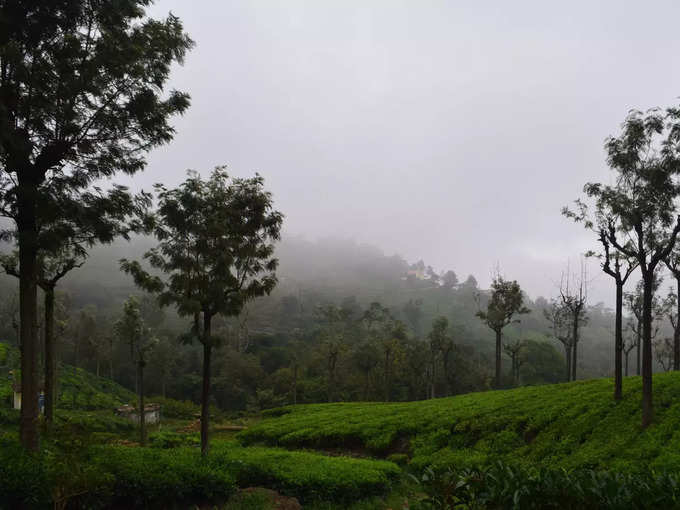 ಕೂನೂರ್‌