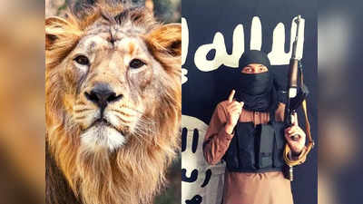 शेर, मगरमच्छ और सांपों का निवाला बने जिहादी, मोजाम्बिक में IS के खूंखार आतंकवादियों के साथ जानवरों ने किया इंसाफ