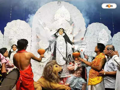 Durga Puja 2022 : টিকটিকি না এলে বিসর্জনই হয় না বনেদি বাড়ির পুজোয়