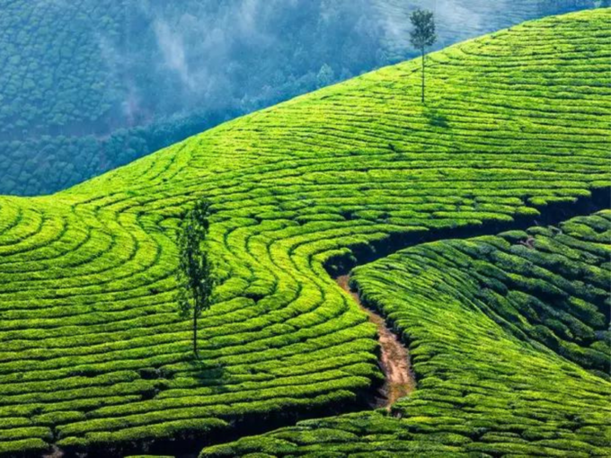 Munnar