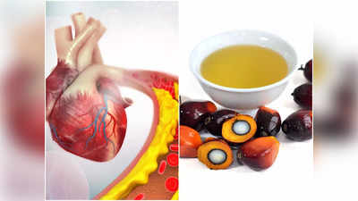 Worst Oil for Cholesterol: সব তেল নয়, এই ৫ ফ্যাট কোলেস্টেরল বাড়িয়ে রক্তনালীর ভিতরে জমে বলে জানালেন চিকিৎসক