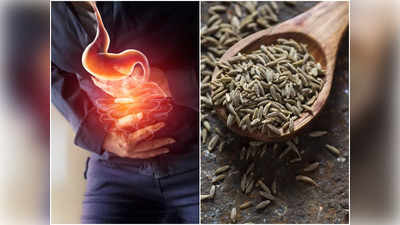 Home Remedies for Acidity: পুজোয় খাওয়ার পরই গ্যাস, অ্যাসিডিটিতে কাবু! ঘরোয়া উপায়ে জটিলতা কাটবে বললেন পুষ্টিবিদ