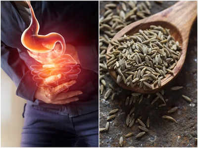 Home Remedies for Acidity: পুজোয় খাওয়ার পরই গ্যাস, অ্যাসিডিটিতে কাবু! ঘরোয়া উপায়ে জটিলতা কাটবে বললেন পুষ্টিবিদ