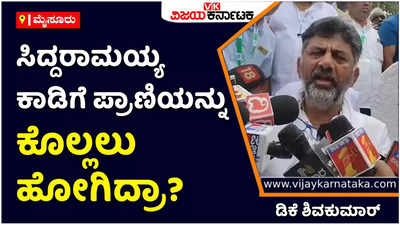 DK Shivakumar: ಸಿದ್ದರಾಮಯ್ಯ ಕಾಡಿಗೆ ಬಂದೂಕು ಹಿಡಿದು ಪ್ರಾಣಿಯನ್ನು ಕೊಲ್ಲಲು ಹೋಗಿದ್ರಾ? ಡಿಕೆ ಶಿವಕುಮಾರ್‌ ಪ್ರಶ್ನೆ