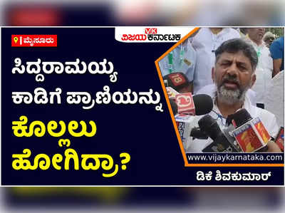 DK Shivakumar: ಸಿದ್ದರಾಮಯ್ಯ ಕಾಡಿಗೆ ಬಂದೂಕು ಹಿಡಿದು ಪ್ರಾಣಿಯನ್ನು ಕೊಲ್ಲಲು ಹೋಗಿದ್ರಾ? ಡಿಕೆ ಶಿವಕುಮಾರ್‌ ಪ್ರಶ್ನೆ