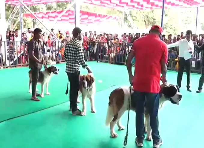 Mysuru Dasara Dog show